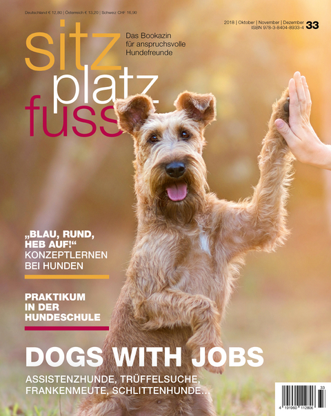 SitzPlatzFuss, Ausgabe 33 - 