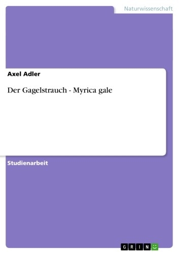 Der Gagelstrauch - Myrica gale -  Axel Adler