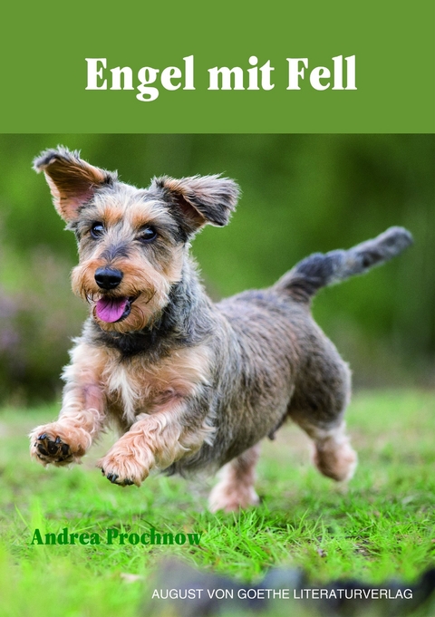 Engel mit Fell - Andrea Prochnow