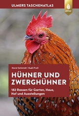 Hühner und Zwerghühner - Schmidt, Horst; Proll, Rudi