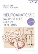 Neuroanatomie - Kipp, Markus; Radlanski, Kalinka