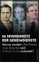 Im Spinnennetz der Geheimdienste - Baab, Patrik; Harkavy, Robert E.