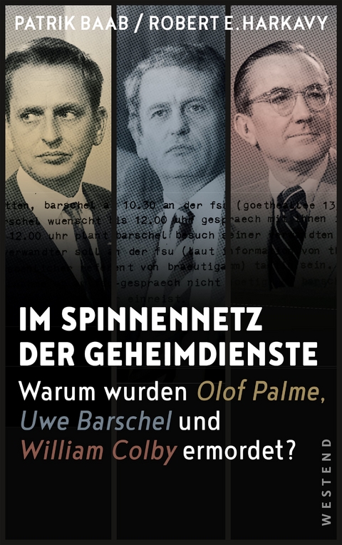 Im Spinnennetz der Geheimdienste - Patrik Baab, Robert E. Harkavy