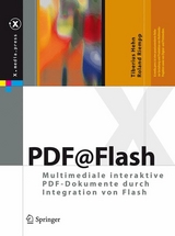 PDF@Flash - Tiberius Hehn, Roland Riempp