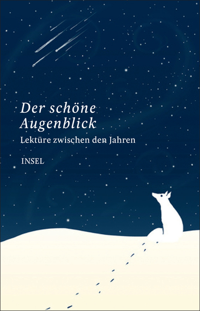 Lekt&uuml;re zwischen den Jahren - 