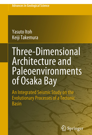 Three-Dimensional Architecture and Paleoenvironments of Osaka Bay