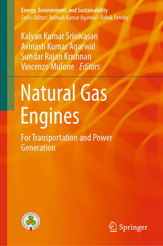 Natural Gas Engines