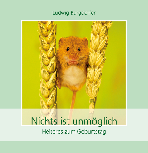 Nichts ist unm&ouml;glich - Ludwig Burgd&ouml;rfer