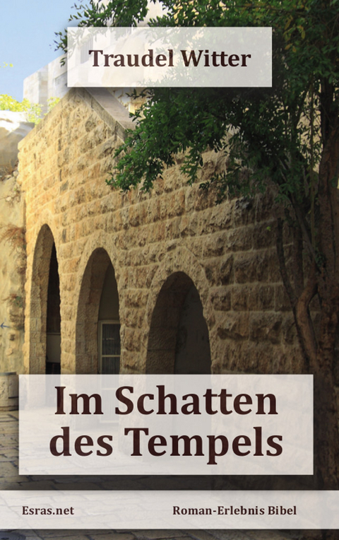 Im Schatten des Tempels - Traudel Witter