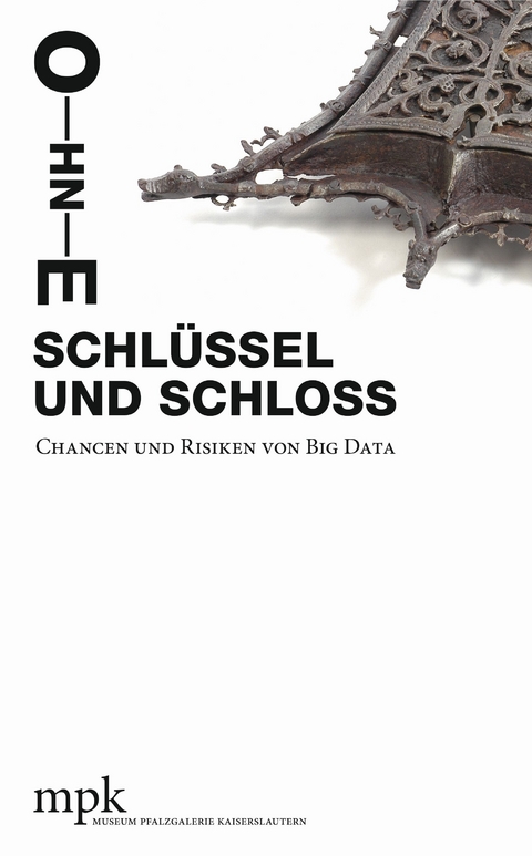 Ohne Schl&uuml;ssel und Schloss &ndash; Chancen und Risiken von Big Data - Detlev Ahlers, David Braun, Britta E. Buhlmann, J&ouml;rg D&ouml;rr