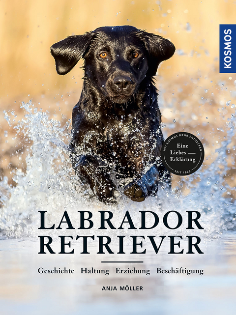 Labrador Retriever - Anja M&ouml;ller
