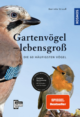 Gartenv&ouml;gel lebensgro&szlig; - Daniela Strau&szlig;