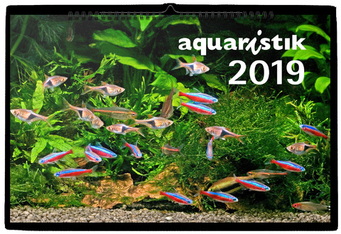 aquaristik-Kalender 2019 - Hristo Hristov