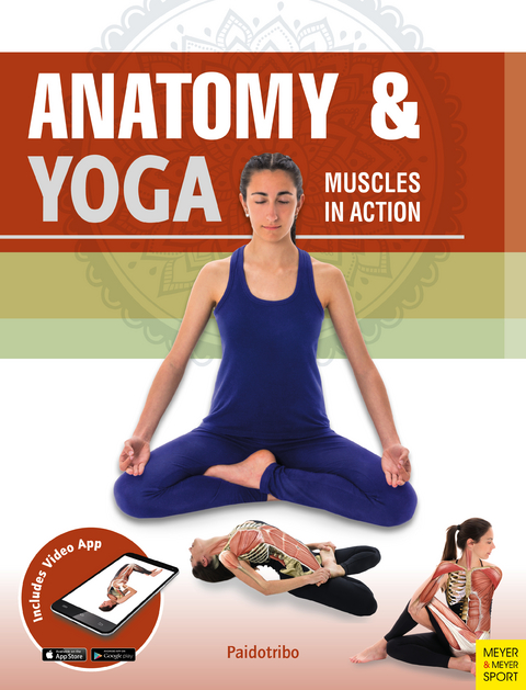 Anatomy & Yoga - Mireia Patino Coll