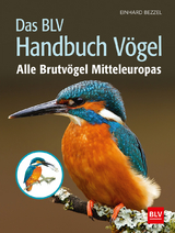 Das BLV Handbuch Vögel - Bezzel, Einhard