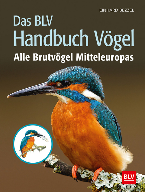 Das BLV Handbuch V&ouml;gel - Einhard Bezzel