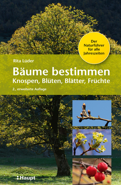 B&auml;ume bestimmen - Knospen, Bl&uuml;ten, Bl&auml;tter, Fr&uuml;chte - Rita L&uuml;der