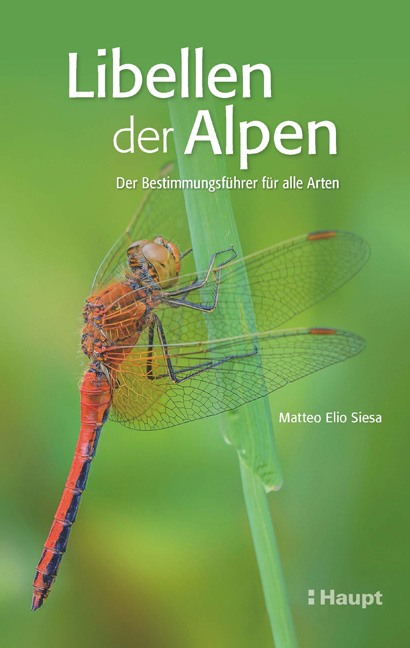 Libellen der Alpen - Matteo Elio Siesa