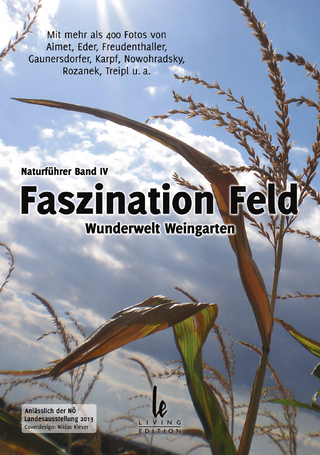 Faszination Feld