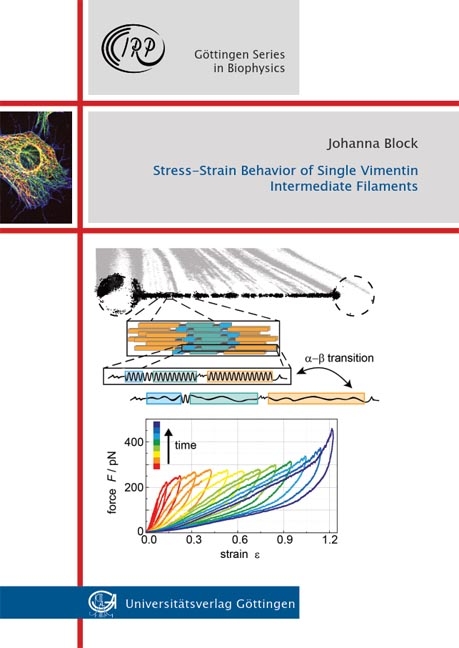 Stress-Strain Behavior of Single Vimentin Intermediate Filament - Johanna Lena Block