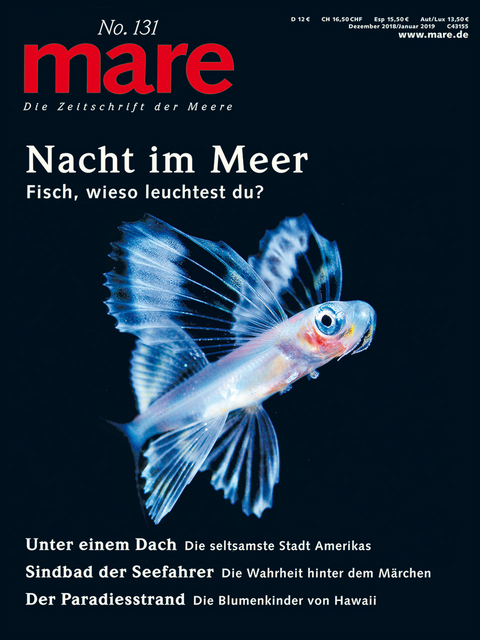 mare - Die Zeitschrift der Meere / No. 131/ Nacht im Meer - 