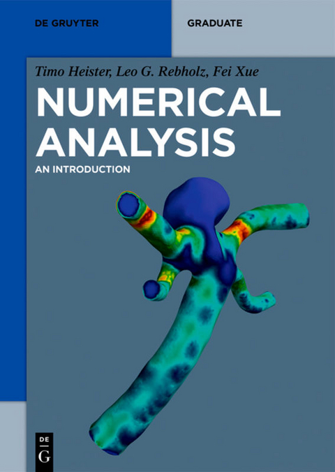 Numerical Analysis - Timo Heister, Leo G. Rebholz, Fei Xue