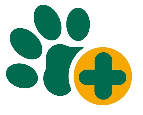 Es klemmt! Tipps und Tricks rund um den Bewegungsapparat des Hundes - Mima Hohmann