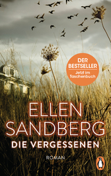 Die Vergessenen - Ellen Sandberg