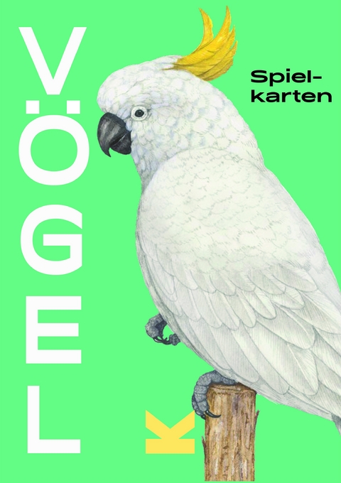 V&ouml;gel
