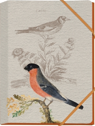 Pasta für Nachtigallen Mini-Sammelmappe - Motiv Gimpel