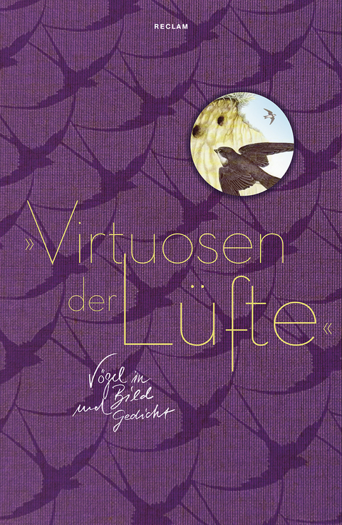 &raquo;Virtuosen der L&uuml;fte&laquo;