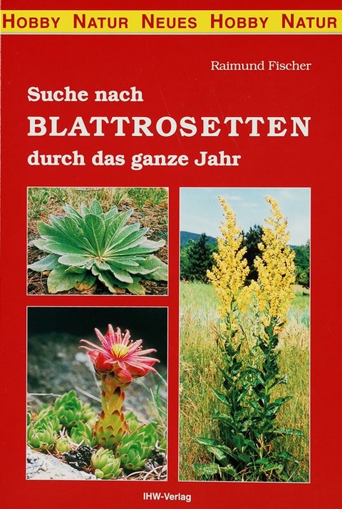 Suche nach Blattrosetten durch das Jahr - Raimund Fischer