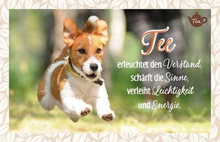 Tee erleuchtet den Verstand, schärft die Sinne, verleiht Leichtigkeit und Energie.