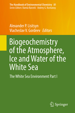 Biogeochemistry of the Atmosphere, Ice and Water of the White Sea