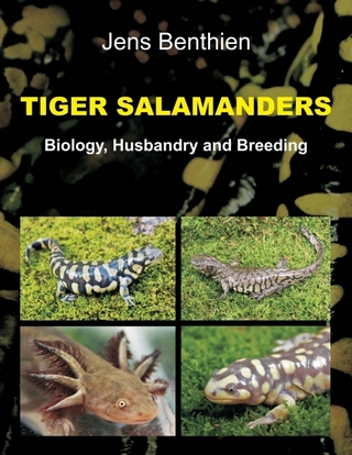 Tiger Salamanders
