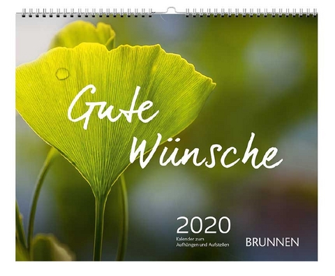 Gute W&uuml;nsche 2020 - Odilo Lechner