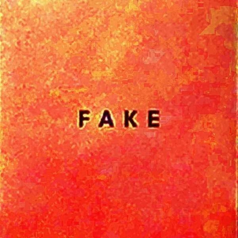 Fake - 