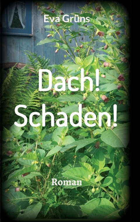 Dach! Schaden! - Eva Gr&uuml;ns