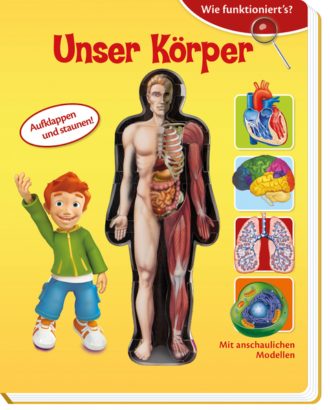Tr&ouml;tsch Wie funktioniert&acute;s? Unser K&ouml;rper