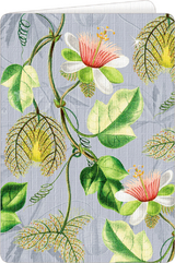 Gru&szlig;karten mit Kuvert (Edition Barbara Behr)