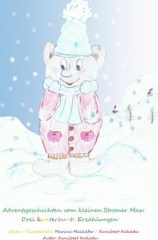 Adventsgeschichten vom kleinen Stromer Max / Adventsgeschichten vom kleinen Stromer Max: Drei kunterbunte Erzählungen
