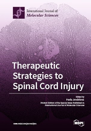 Therapeutic Strategies to Spinal Cord Injury