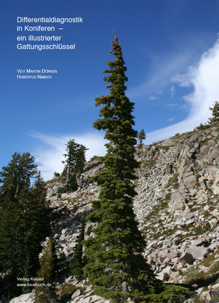 Differentialdiagnostik in Koniferen – ein illustrierter Gattungsschlüssel
