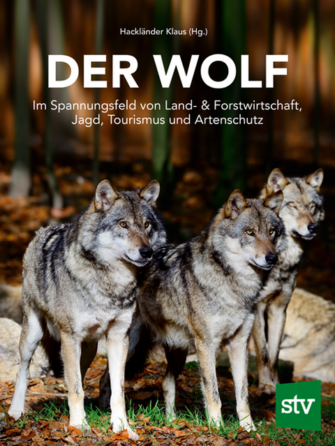 Der Wolf - 