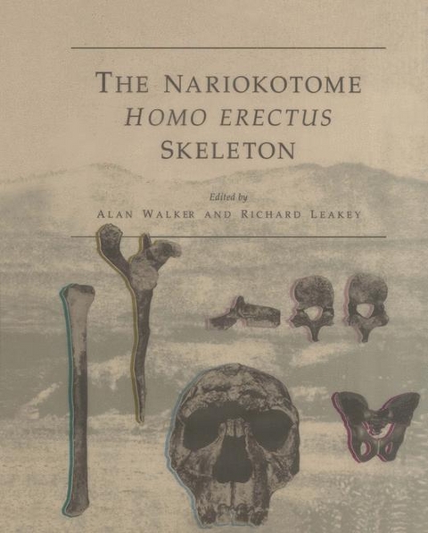 The Nariokotome Homo Erectus Skeleton - 