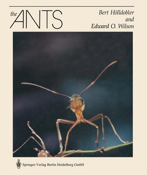 The Ants - Bert H&ouml;lldobler, Edward O. Wilson