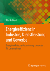 Energieeffizienz in Industrie, Dienstleistung und Gewerbe - Martin Dehli