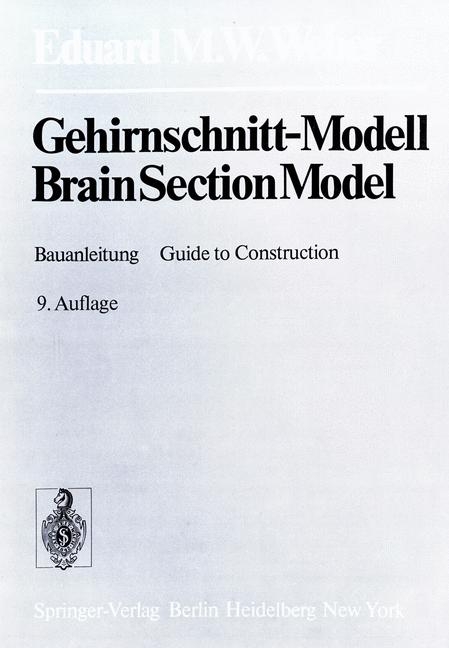 Gehirnschnitt-Modell / Brain Section Model - Eduard M. W. Weber