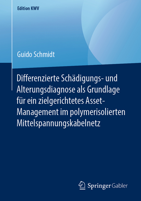 Differenzierte Sch&auml;digungs- und Alterungsdiagnose als Grundlage f&uuml;r ein zielgerichtetes Asset-Management im polymerisolierten Mittelspannungskabelnetz - Guido Schmidt