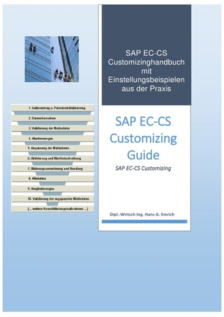 Einführung in das Customizing des Konsolidierungstools SAP EC-CS